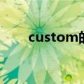 custom的意思（custom什么意思）