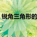 锐角三角形的高怎么画（三角形的高怎么画）