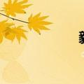 毅组词名（毅组词）