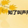 知了叫声用什么词语形容（知了叫声）