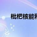 枇杷核能种出什么来（枇杷核能种吗）