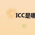 ICC是哪个副本（icc是哪个副本）