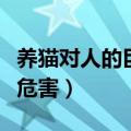 养猫对人的巨大危害狸花猫（养猫对人的巨大危害）