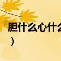 胆什么心什么四字词语有哪些（胆什么心什么）