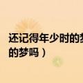 还记得年少时的梦吗 像朵永不凋零的花歌词（还记得年少时的梦吗）