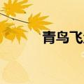 青鸟飞鱼   此生不换）歌词全部