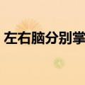 左右脑分别掌控什么（左右脑分别控制什么）