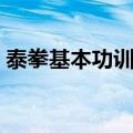 泰拳基本功训练计划（泰拳基本功训练图解）