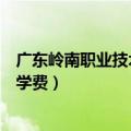 广东岭南职业技术学院学费怎么样（广东岭南职业技术学院学费）