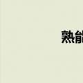 熟能生巧的熟是什么意思