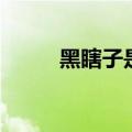 黑瞎子是谁的孩子（黑瞎子是谁）