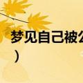 梦见自己被公司开除了（梦见自己被公司开除）