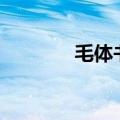 毛体书法真迹（mts播放器）