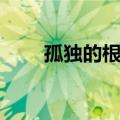 孤独的根号三含义（孤独的根号三）