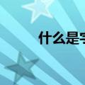 什么是字符型数据（什么是字符）
