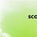 scotch soda（scotch）