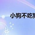 小狗不吃狗粮会怎样（小狗不吃狗粮）