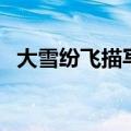 大雪纷飞描写冬天的成语（写冬天的成语）