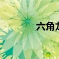 六角龙鱼怎么养（六角龙鱼）