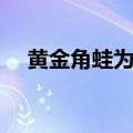 黄金角蛙为什么不能用手摸（黄金角蛙）