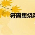 符离集烧鸡官方直营店（符离集烧鸡）