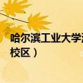 哈尔滨工业大学深圳校区和本部区别（哈尔滨工业大学深圳校区）