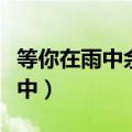 等你在雨中余光中原文分段（等你在雨中余光中）