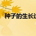 种子的生长过程简笔画（种子的生长过程）
