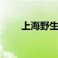 上海野生动物园（上海动物园地址）