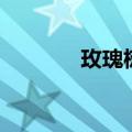 玫瑰树根读后感（玫瑰树根）