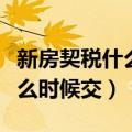 新房契税什么时候交有规定时间（新房契税什么时候交）