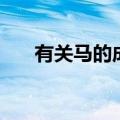 有关马的成语有哪些（有关马的成语）