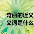 奇丽的近义词是什么呢 标准答案（奇丽的近义词是什么呢）