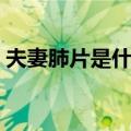 夫妻肺片是什么菜系的菜（夫妻肺片是什么）