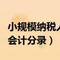 小规模纳税人免增值税（小规模纳税人增值税会计分录）