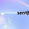 sent搭配（sent用法和短语）