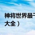 神将世界最干净的武魂躲猫猫（神将世界武魂大全）