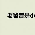 老爸曾是小偷下载安装（老爸曾是小偷）