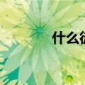 什么徒的电影（徐静蕾电影）