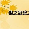 银之冠碧之泪汉化版（银之冠碧之泪）