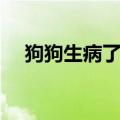 狗狗生病了吃什么药（狗狗生病的症状）