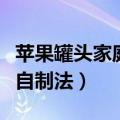 苹果罐头家庭自制法煮几分钟（苹果罐头家庭自制法）