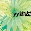 yy紫钻加会员成长值吗（yy紫钻）