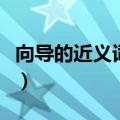 向导的近义词二年级下（向导的近义词是什么）