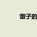 馓子的做法视频（馓子的做法）
