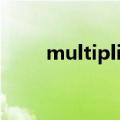 multiplier什么意思（multiplier）