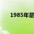 1985年是什么命（1985年是什么年）