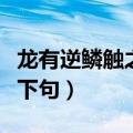 龙有逆鳞触之必死为什么（龙有逆鳞触之必死下句）