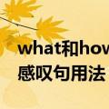 what和how的感叹句用法区别（what how感叹句用法）