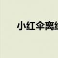 小红伞离线安装包（小红伞本地引擎）